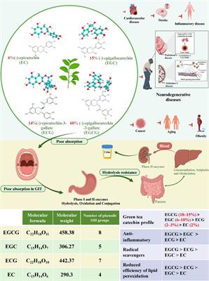 Neurodegenerative diseases and catechins: (−)-epigallocatechin-3-gallate is a modulator of chronic neuroinflammation and oxidative stress